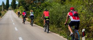 Cyklisté na Korčule